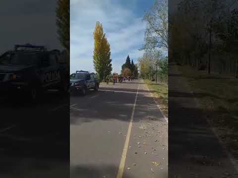 Cycling the Wine Route in Mendoza | Tourist Police & Maipu Bikes 🚲🍇