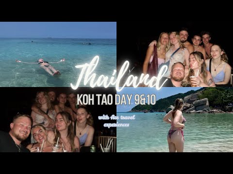 Snorkelling in Koh Tao