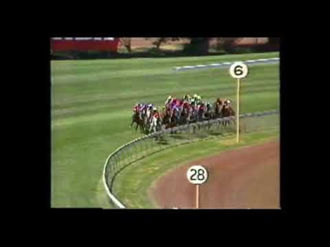 1989 Wakeful Stakes - Tristanagh