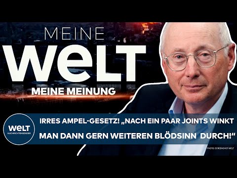 STEFAN AUST: Irres Ampel-Gesetz! Nach ein paar Joints winkt man gern noch weiteren Blödsinn durch!"