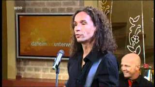 20 Jahre Brings - Dat is jeil