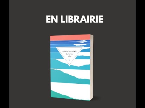 Un Reve De Glace Hubert Haddad Babelio Un Reve De Glace Hubert Haddad Babelio