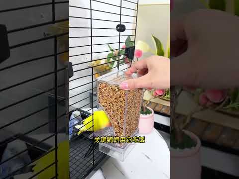 If you don't want to add bird food to your parrot every day, you can install an automatic feeder