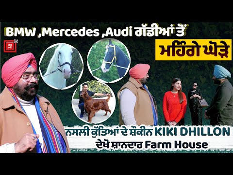 ਵੇਖੋ DHILLON ਪਰਿਵਾਰ ਦਾ Farm House,Luxury ਗੱਡੀਆਂ ਤੋਂ ਮਹਿੰਗੇ ਘੋੜੇ ਨਸਲੀ ਕੁੱਤੇ,ਦੇਖ ਕੇ ਰੂਹ ਹੋਵੇਗੀ ਬਾਗ਼ੋਬਾਗ