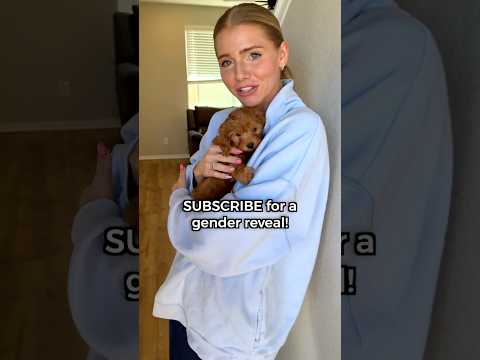 I found a PUPPY! 🐶