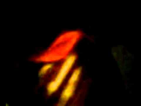 EszterGomba - Kertész Ágnes vicce