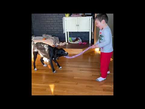 Dub Town Rockers- "On a Sunday," ft Miles (Slightly Stoopid) and Jackson (The Elovators)