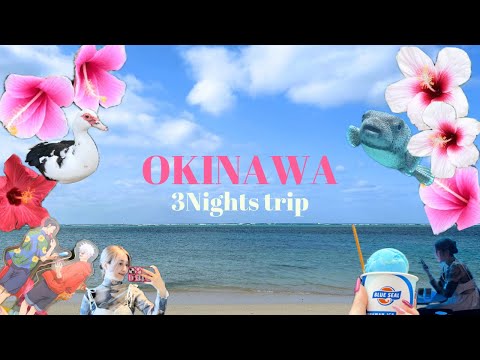 SUB) 沖縄vlog.オタクの聖地巡礼旅行🌺🩵宿は目の前がビーチだった😽美ら海🐠爆食🍨
