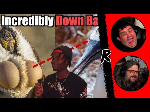 Just Another Boring Video About Birds - @mndiaye_97 | RENEGADES REACT