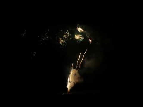 Wizard Z shape brocade tail to brocade horsetail with red and green falling leaves 1/1 WPL25CA8101A