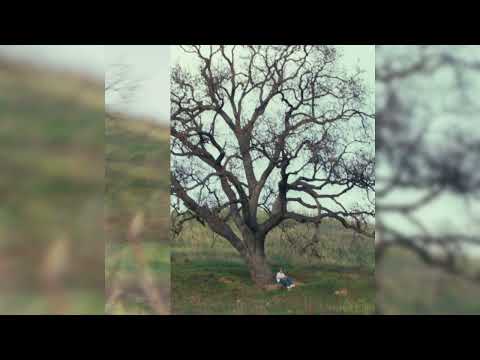 asiris - wintergreen (Official Audio)