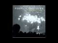 Pernice Brothers - "Blinded by the Stars"