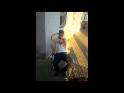 EL FRODO - BULLTERRIER