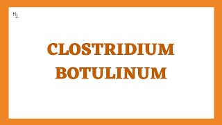 Clostridium Botulinum | Botulism or Flaccid Paralytic Disease