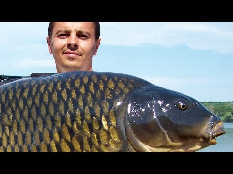 SBS Tactical Baits - Big Fish Tactics Part 3 - How to use a float?