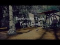 Peter Hammill: Bareknuckle Trade