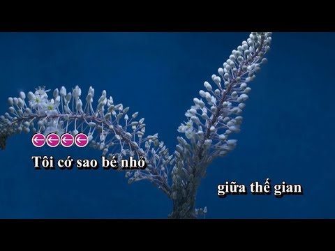 [KARAOKE_HẠ 2 TONE]  NHÂN GIAN MỘT CÕI DẠI KHỜ | Trần Ngọc Ánh