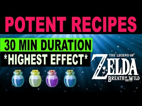 Cooking Elixir & Food Recipes - HIGH LEVEL 30 Minute Durations - Zelda: Breath of the Wild