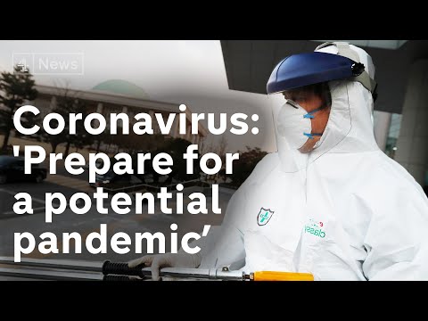 コロナウイルスのパンデミックの可能性に備えて」世界保健機関（WHO）が警告 ('Prepare for potential Coronavirus pandemic' warns World Health Organisation)