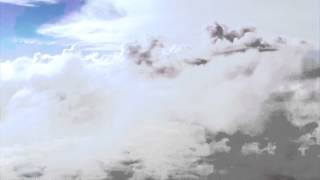 The Ghost of a Saber Tooth Tiger - Rainbows in Gasoline