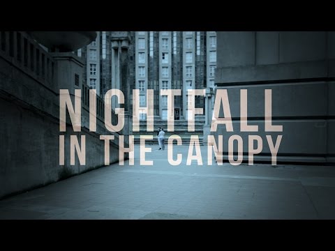 In The Canopy - Nightfall (Official Video)
