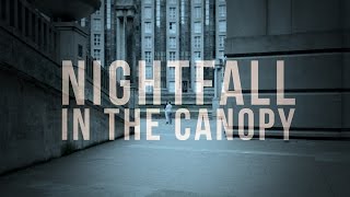 In The Canopy - Nightfall (Official Video)