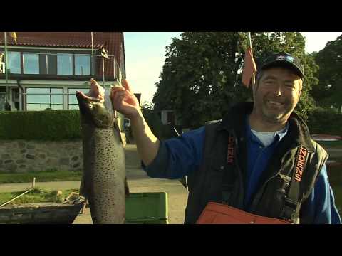 Ostseefjord Schlei - Ihr Urlaubsparadies an der Ostsee
