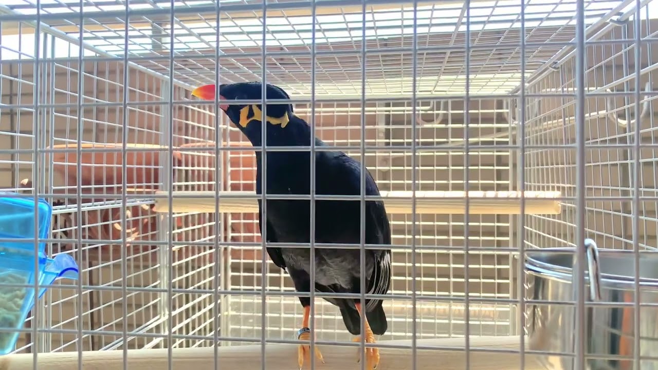 すがちゃん : 急に電話かかってきた