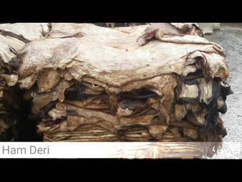 download lagu mp3 mp4 Gerede Deri rnleri, download lagu Gerede Deri rnleri gratis, unduh video klip Gerede Deri rnleri