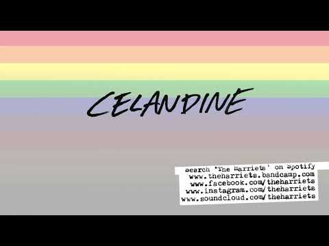 Celandine - The Harriets - Audio