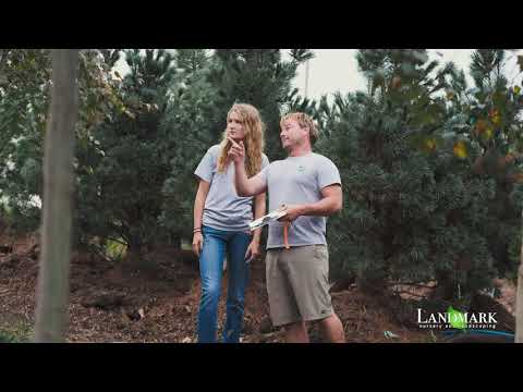 Landmark Nursery & Landscaping - Customer Success Story