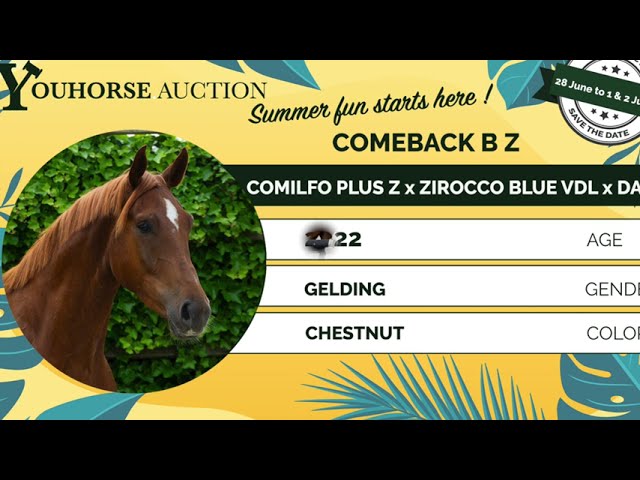 Comeback B Z