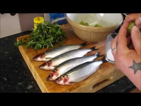 download lagu mp3 mp4 Fried Herring, download lagu Fried Herring gratis, unduh video klip Fried Herring