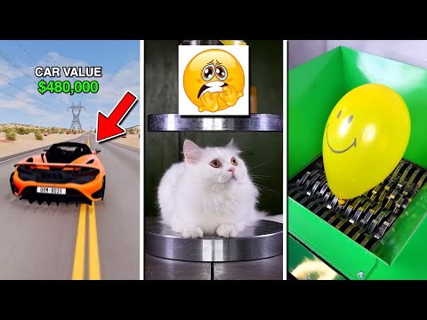 😍 Best SHORTS Compilation #06 - ZOOKA