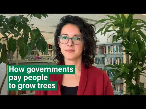 How Latin American Countries Reward Farmers For Growing Trees