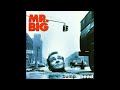 Ain't Seen Love Like That de Mr. Big