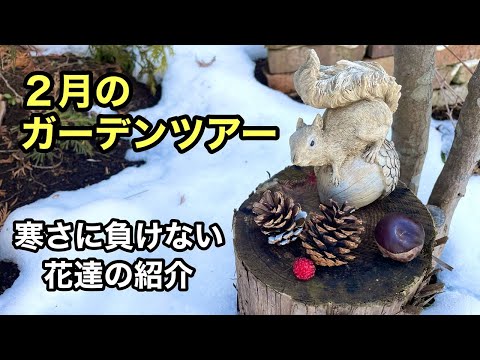 園芸 庭の雪の利点