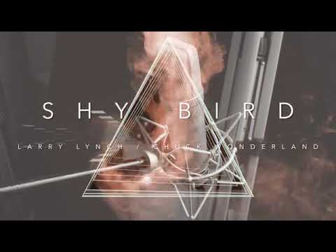 LARRY LYNCH // CHUCK WONDERLAND - SHY BIRD