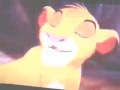 The Lion King Stampede