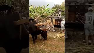 30 de janeiro de 2024