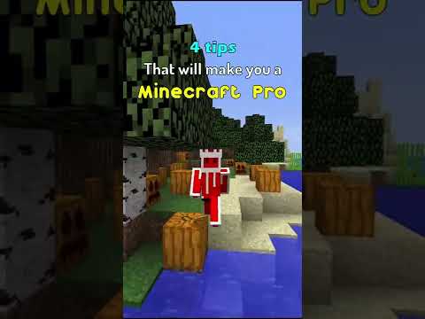 How to be a Minecraft Pro