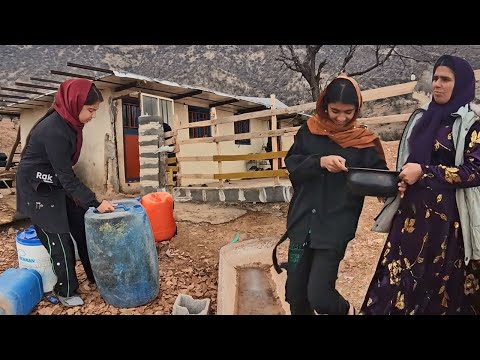 Spend a Day at Doora's House: Trying to Care for Animals