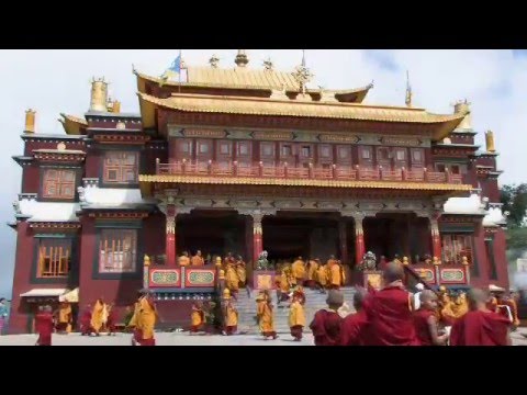 Heaven in Exile Movie