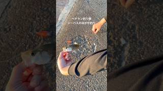 #釣り #フィッシング #海 #ウナギ釣り #釣りガール