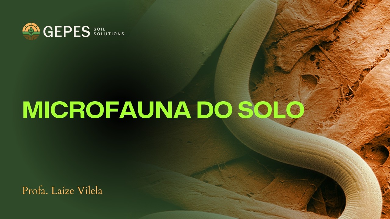 Resumo: Microfauna do solo 🪱