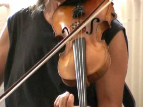 Le shake - Daniel Gourdon - fiddle irlandais