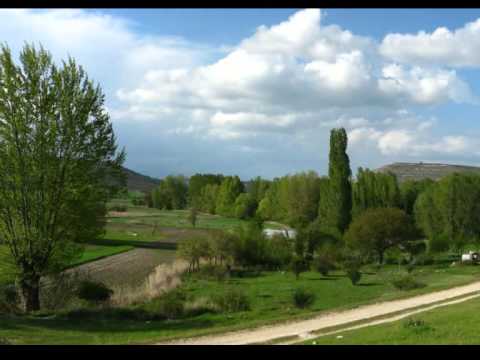 Cobos de Cerrato (2013) "Así es Cobos de Cerrato"