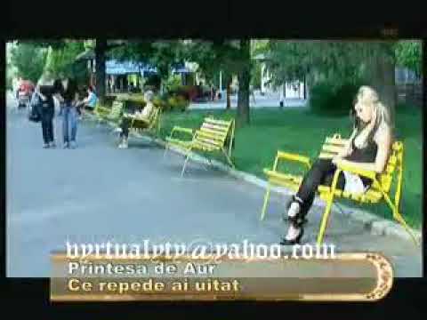 Printesa De Aur Ce Repede Ai Uitat (2009)