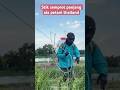 Petani Thailand Dengan Spryer Stik Panjang Pertanianpadi Petanimodern Sprayerguns Sorts