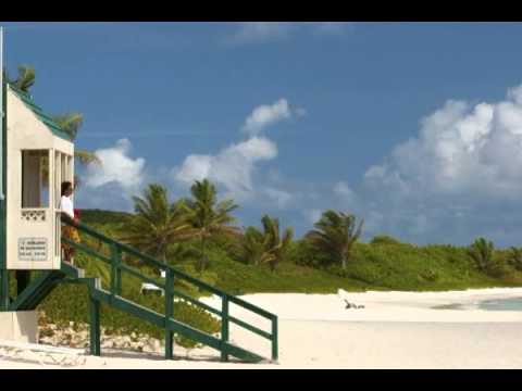 Project ab8800880088 pres. Push - Live On